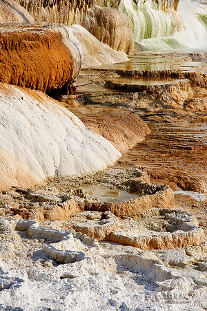 Mammoth Hot Springs 8