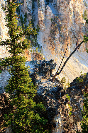 Canyon Floor in Yellowstone National Park