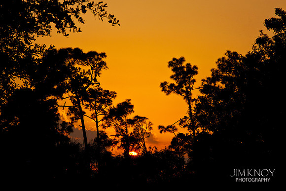 Sunset in Port Charlotte