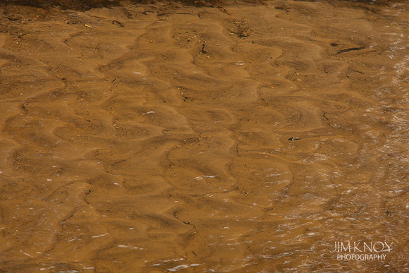 Prairie Creek at Low Flow