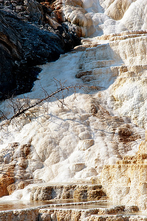 Mammoth Hot Springs in the Morning
