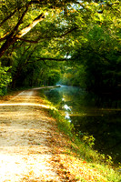 Along the C&O Canal