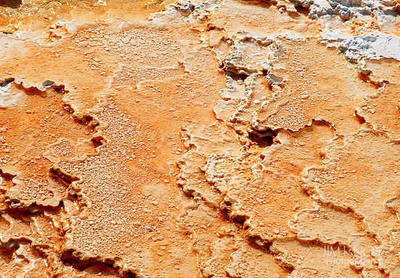 Mammoth Hot Springs Magic