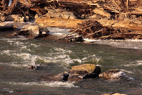 Potomac River Rapids
