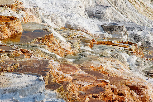 Mammoth Hot Springs 5
