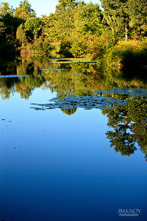 Pond in Late Summer