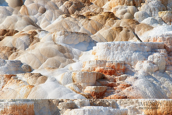 Mammoth Hot Springs 4