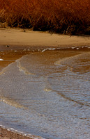 Shoreline