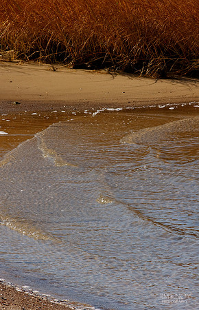 Shoreline